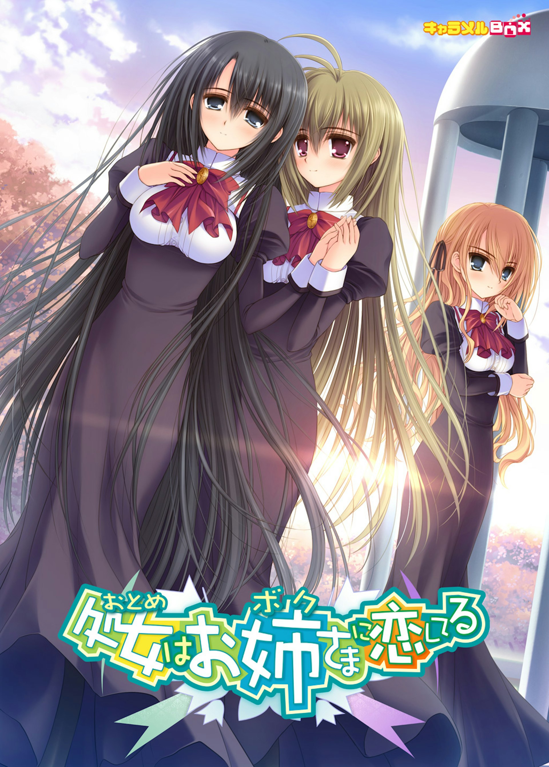 処女はお姉さまに恋してる