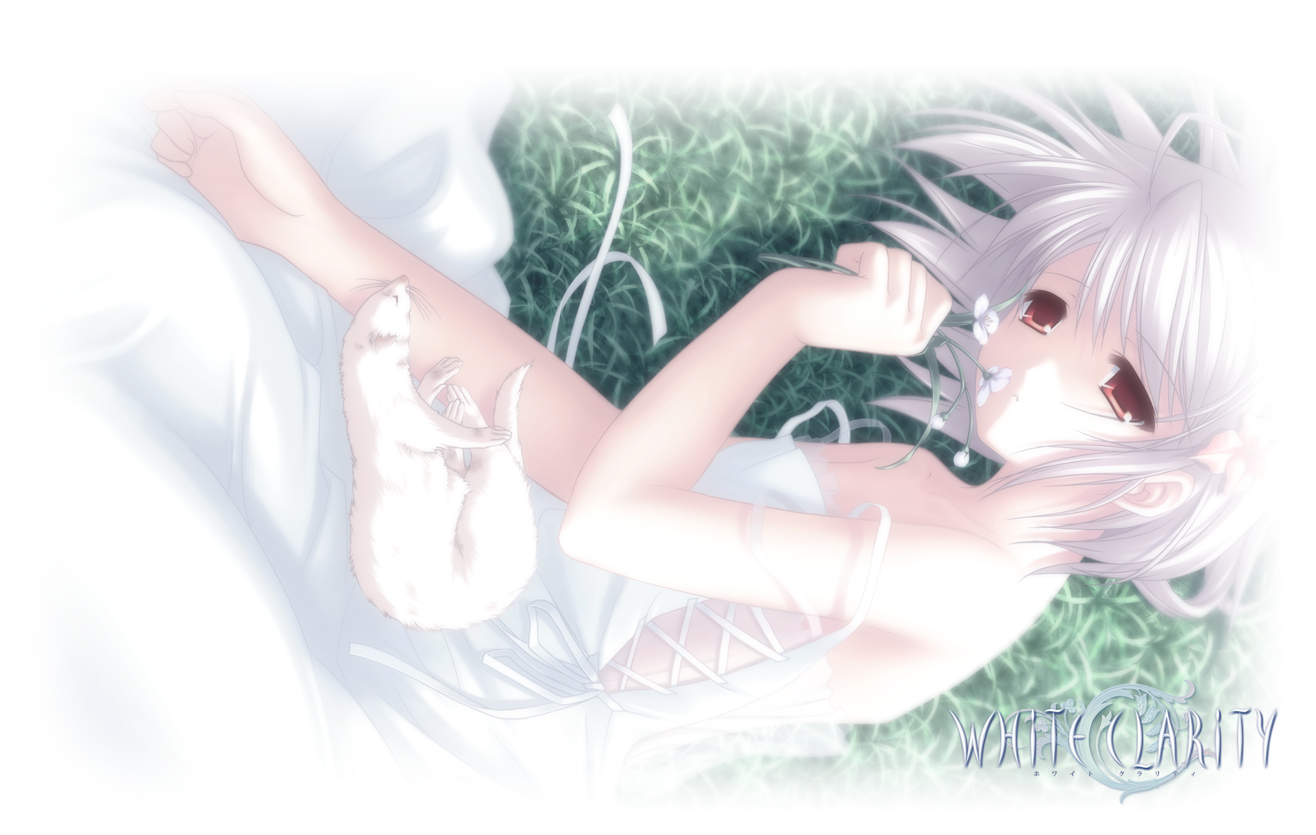 WHITE CLARITY